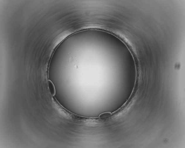 X0000096131137200802011142