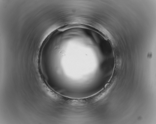 X0000096131138200802011142
