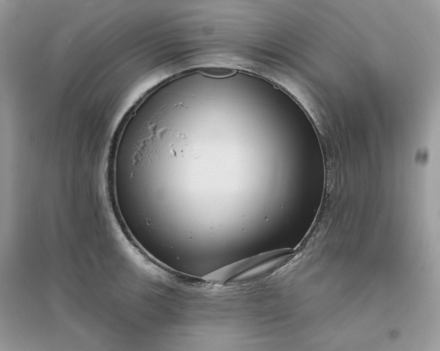 X0000096131139200802011142