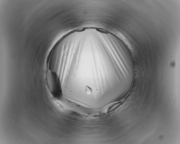 X0000096131140200802011142