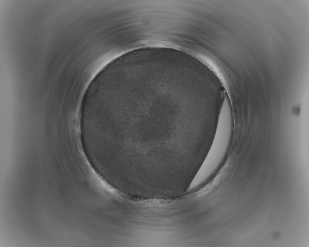 X0000096131141200802011142