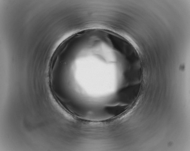 X0000096131142200802011142