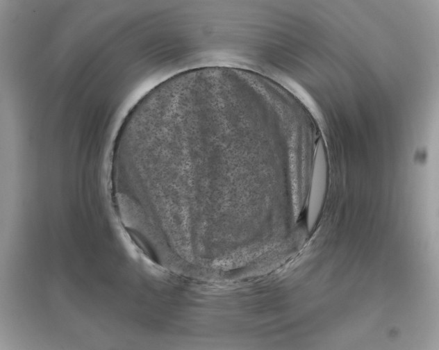 X0000096131144200802011142