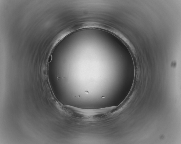 X0000096131145200802011142