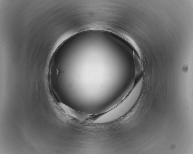 X0000096131146200802011142