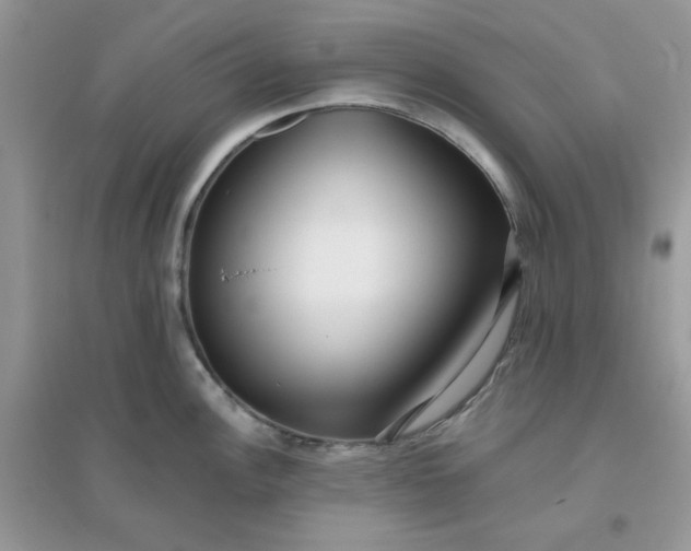 X0000096131148200802011142