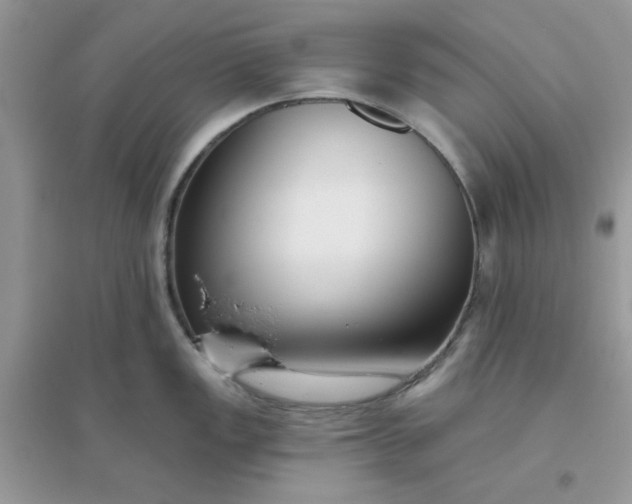 X0000096131149200802011142