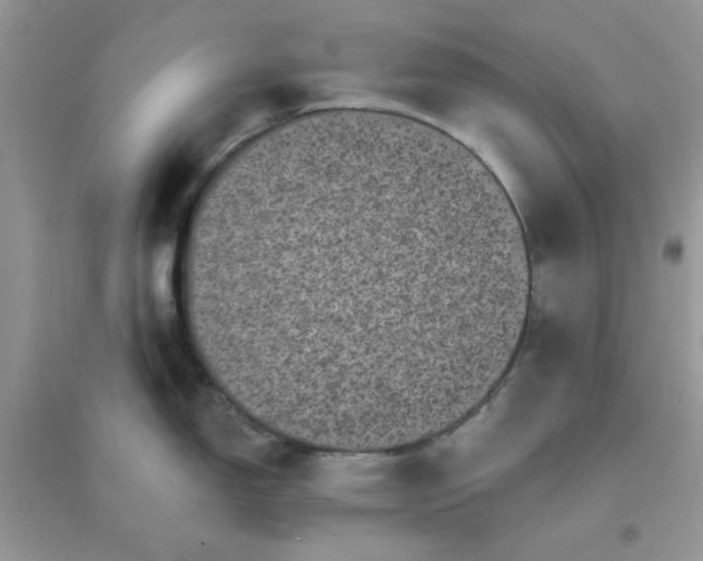 X0000096131150200802011142