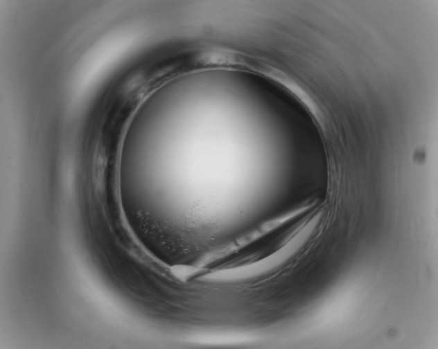 X0000096131151200802011142