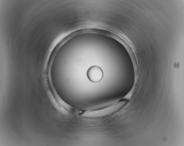 X0000096131152200802011142