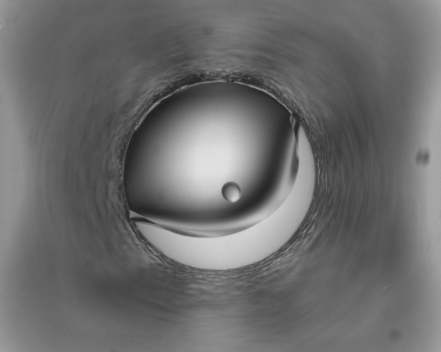 X0000096131153200802011141