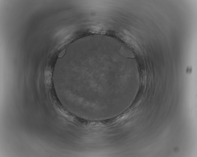 X0000096131154200802011141