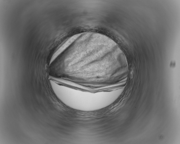 X0000096131156200802011141