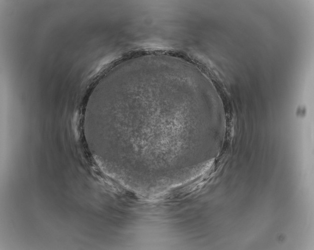 X0000096131157200802011141
