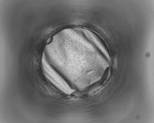 X0000096131158200802011141