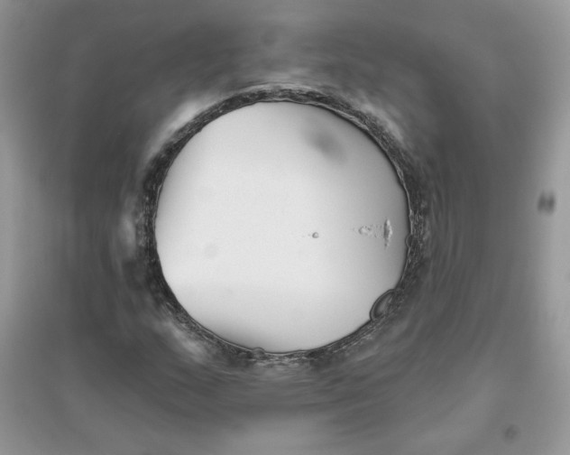 X0000096131159200802011141
