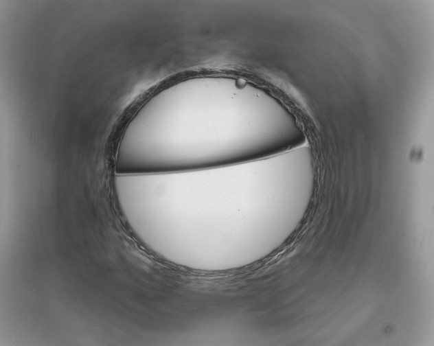 X0000096131160200802011141