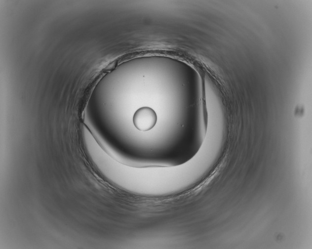 X0000096131161200802011141
