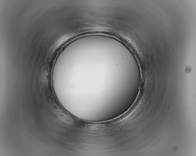 X0000096131163200802011141