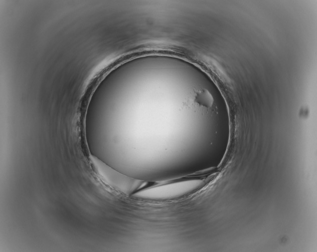 X0000096131164200802011141