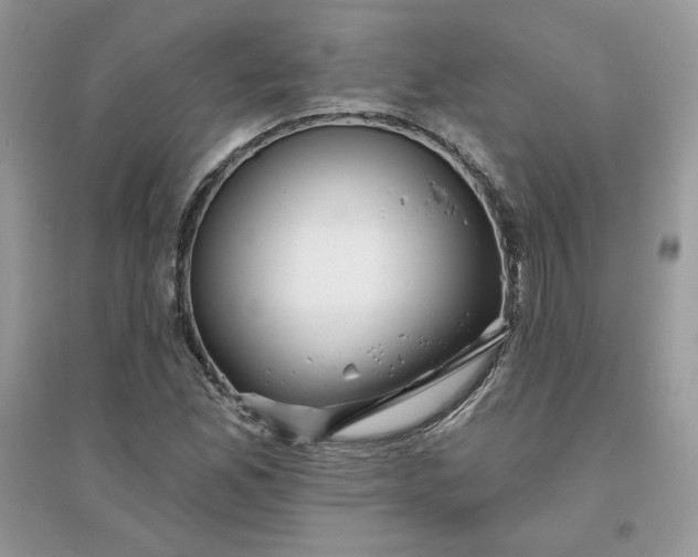 X0000096131165200802011141