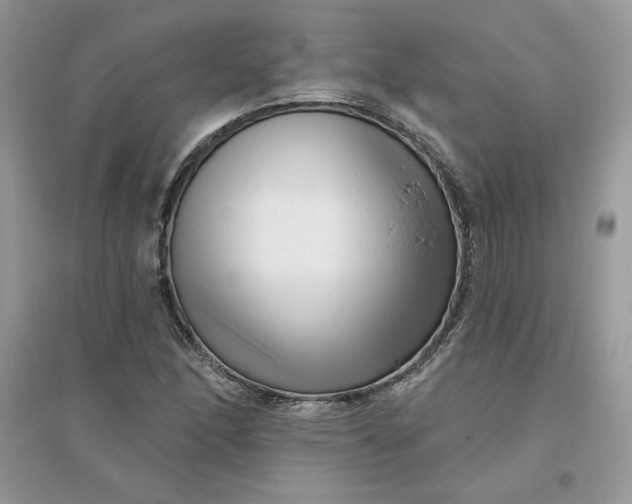 X0000096131166200802011141