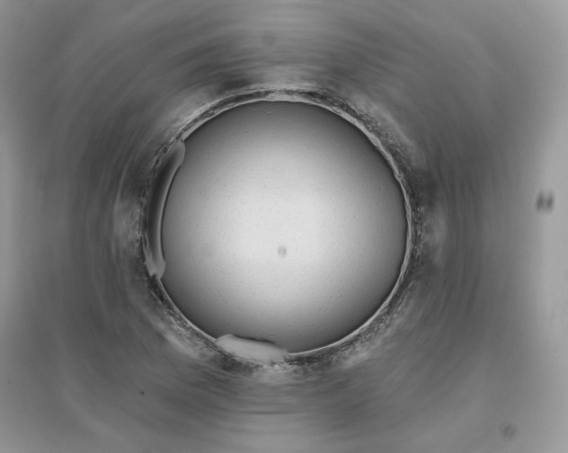 X0000096131169200802011141