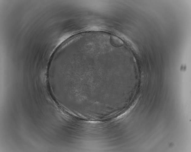 X0000096131170200802011141