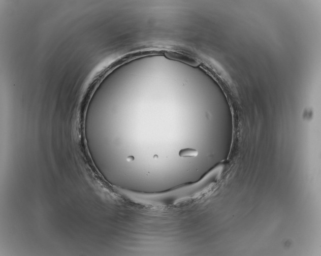 X0000096131172200802011141