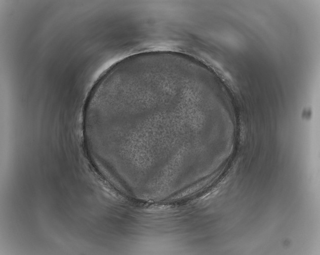 X0000096131174200802011141