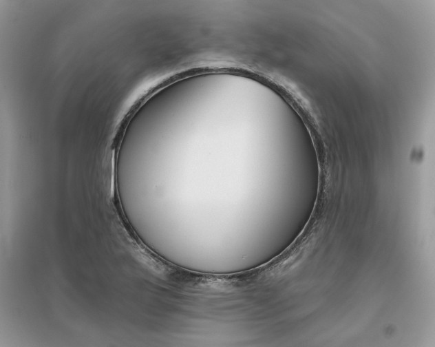 X0000096131175200802011141