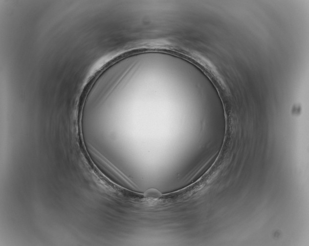 X0000096131176200802011141