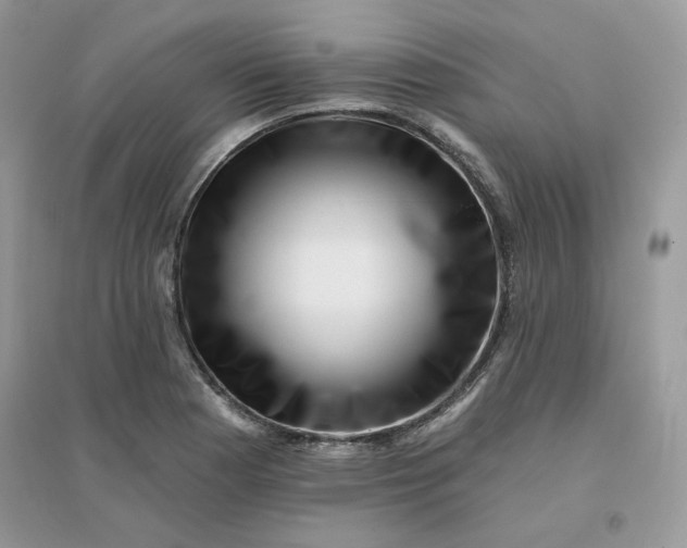X0000096131177200802011141