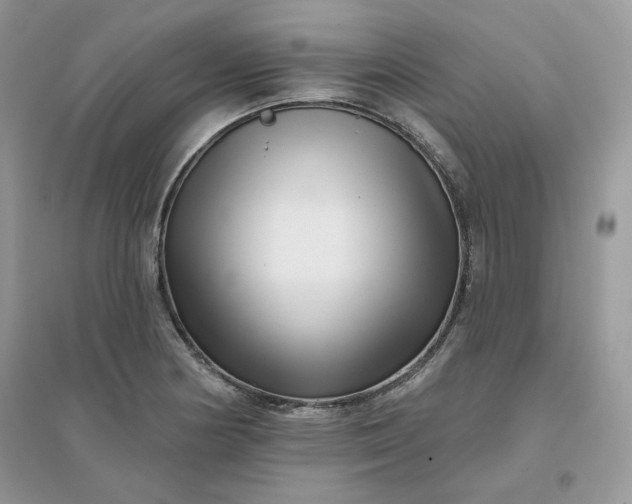 X0000096131178200802011141