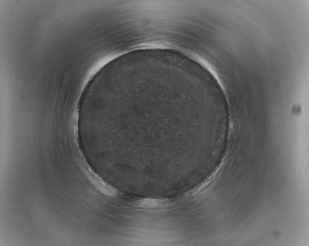 X0000096131179200802011141
