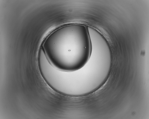 X0000096131180200802011141