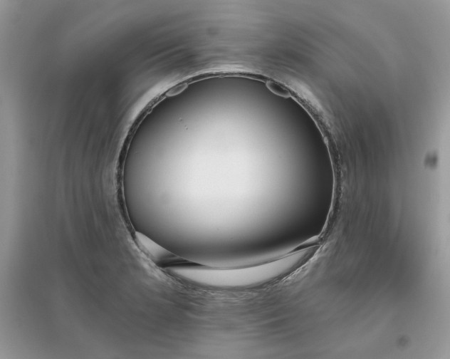 X0000096131181200802011141