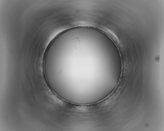 X0000096131182200802011141