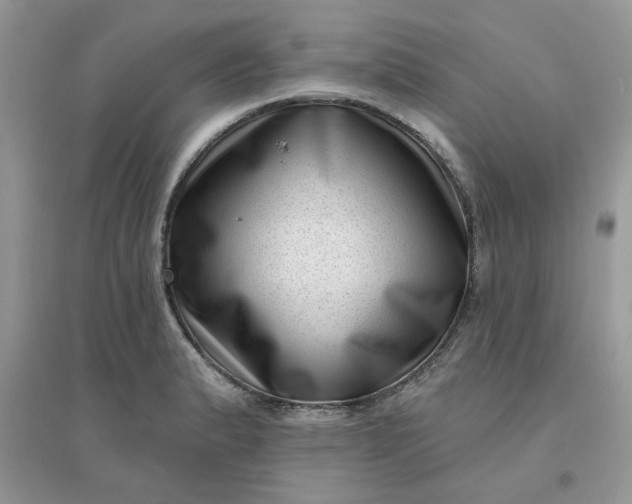 X0000096131183200802011141