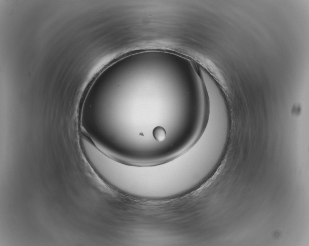 X0000096131184200802011141