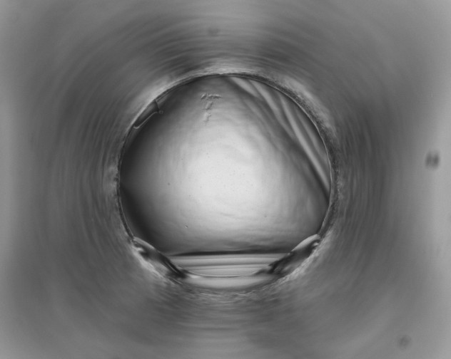 X0000096131185200802011141