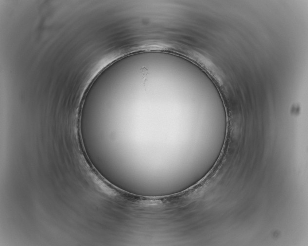 X0000096131186200802011141
