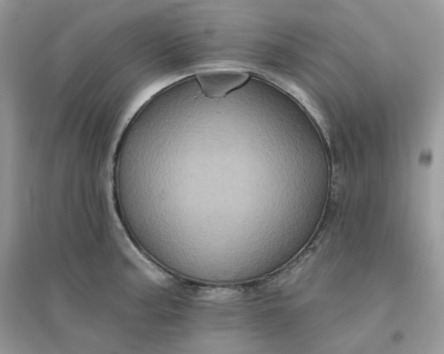 X0000096131187200802011141