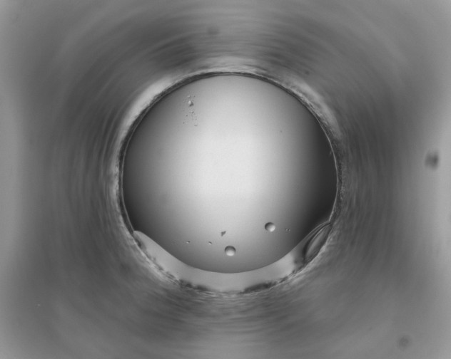 X0000096131188200802011141