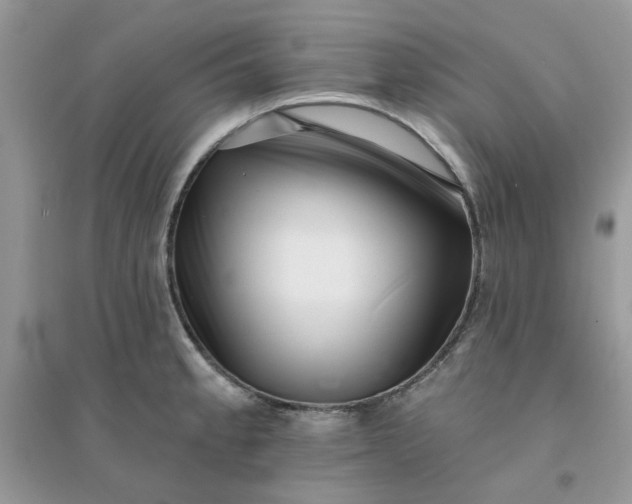X0000096131189200802011141