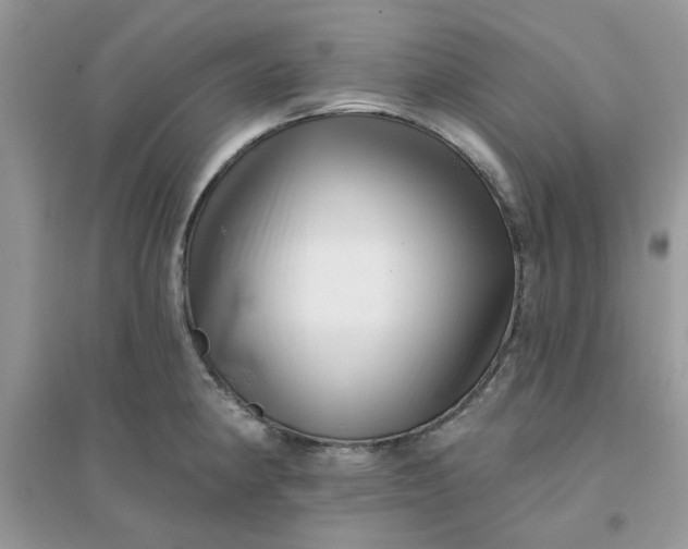 X0000096131190200802011141