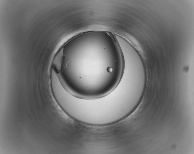 X0000096131192200802011141