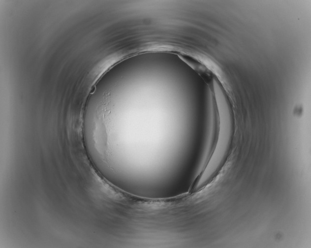 X0000096131193200802011141