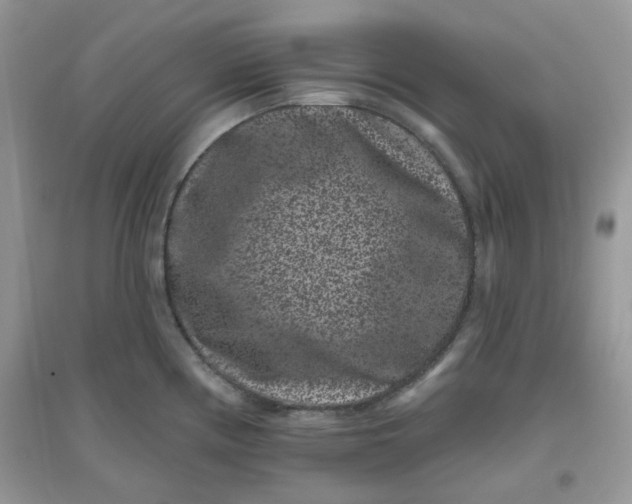X0000096131194200802011141
