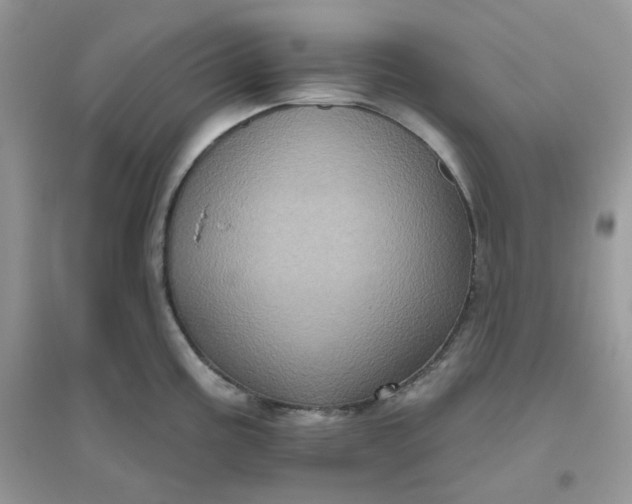 X0000096131195200802011141